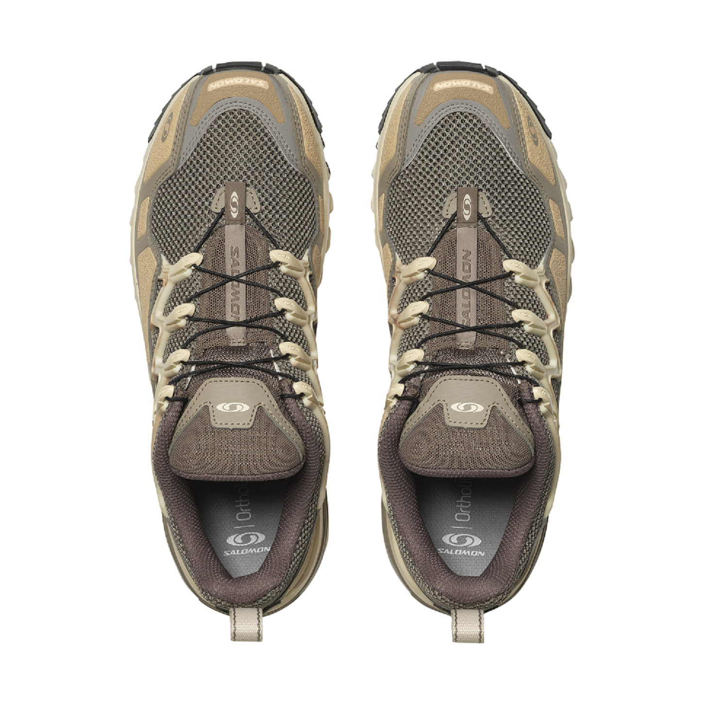 #Falcon / Shortbread / Hazelnut