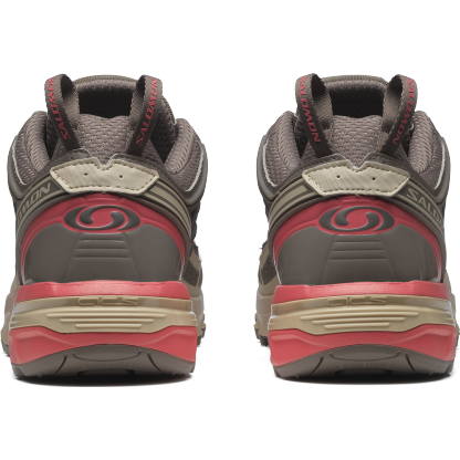 SALOMON SHOES ACS PRO FALCON/SUGAR