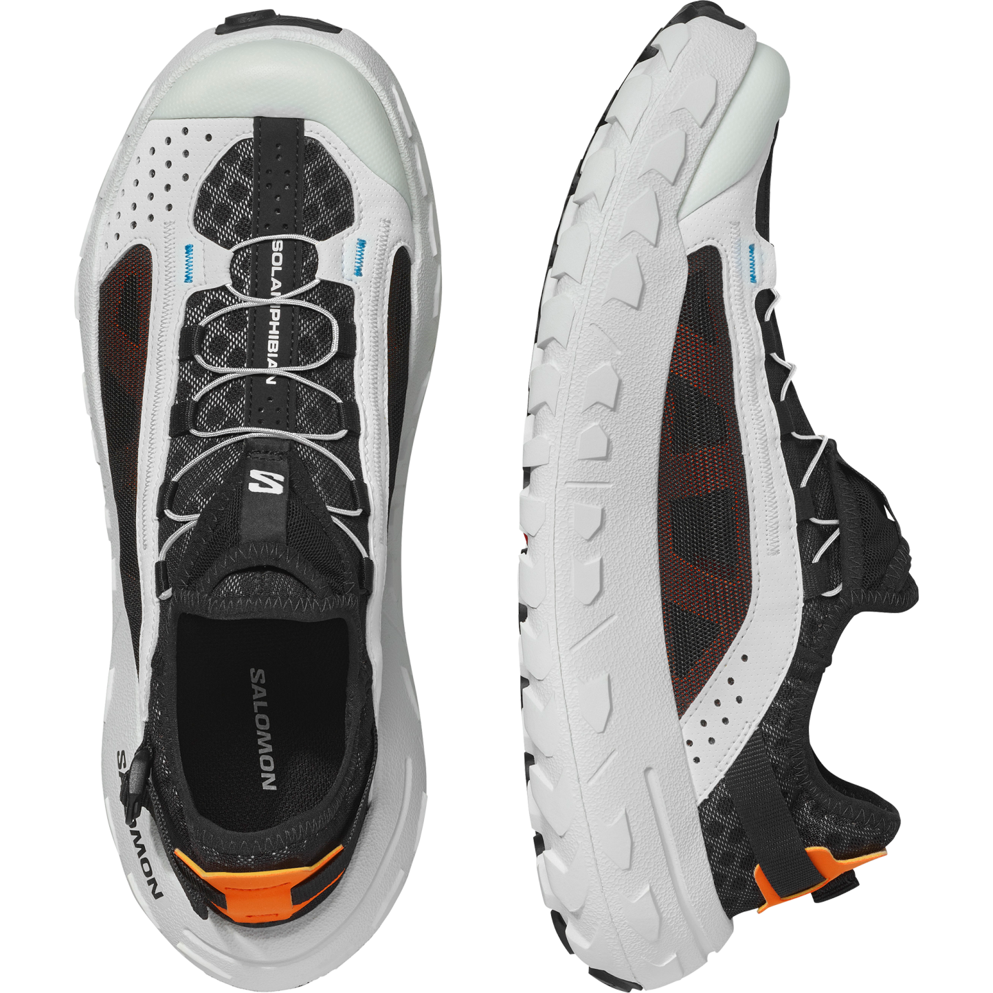 SOLAMPHIBIAN