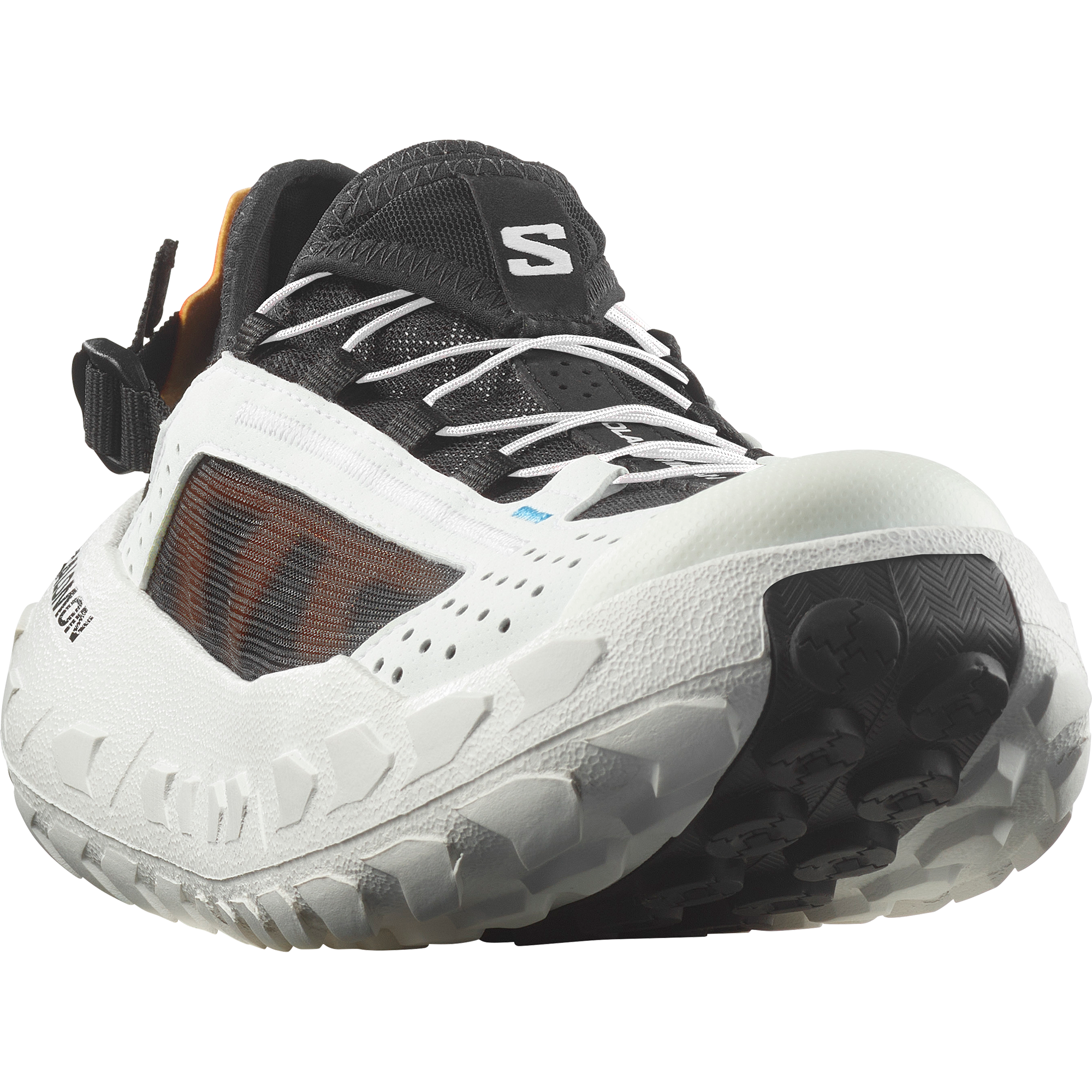 SOLAMPHIBIAN