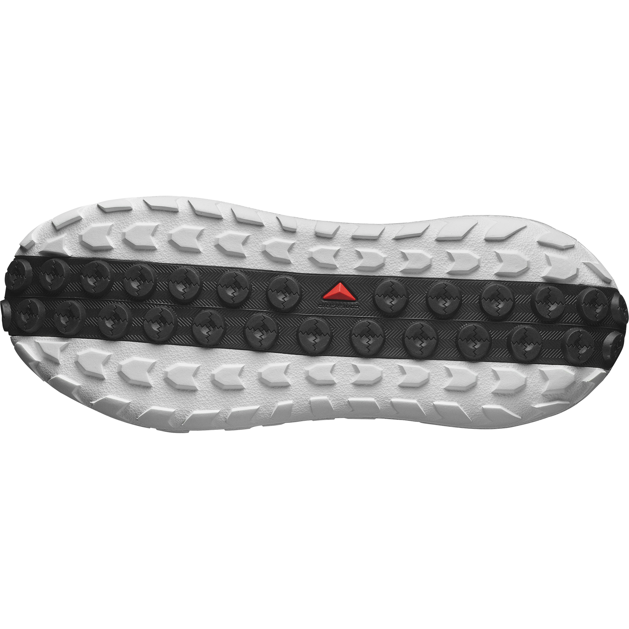SOLAMPHIBIAN