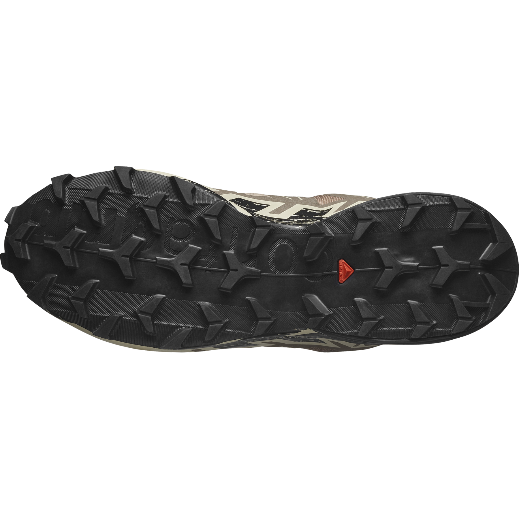 SALOMON SPEEDCROSS 6