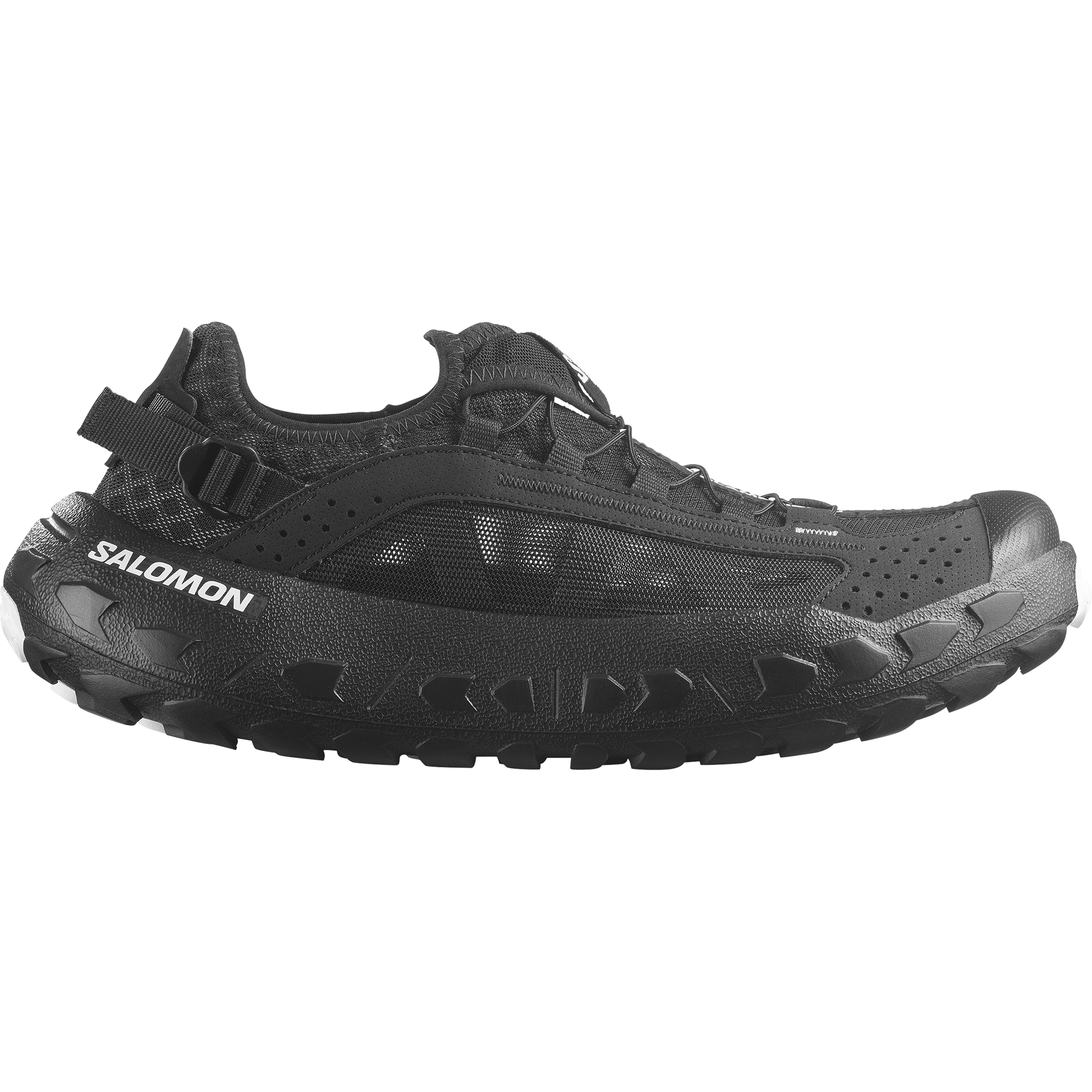 SOLAMPHIBIAN