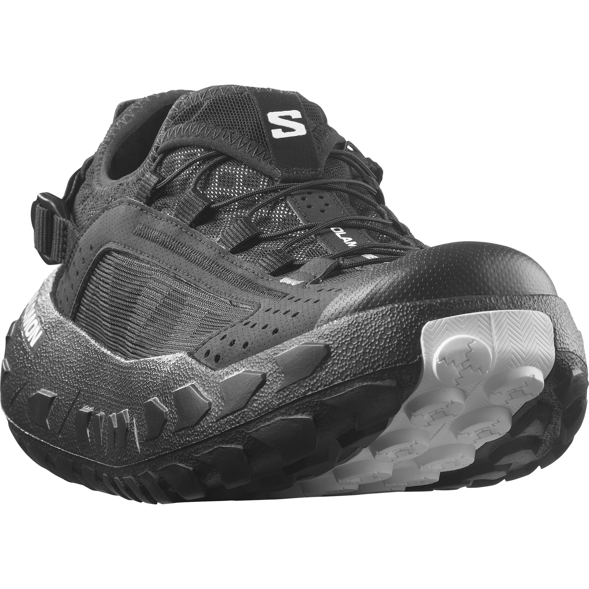 SOLAMPHIBIAN