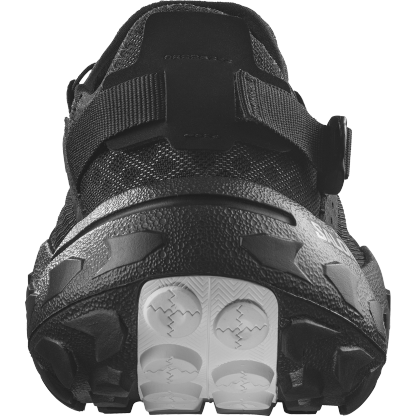 SOLAMPHIBIAN