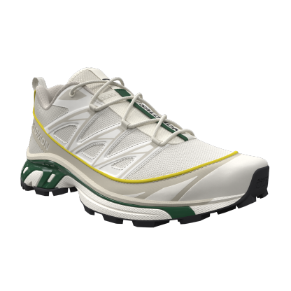 SALOMON SHOES XT-6 EXPANSE