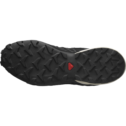 SALOMON SPEEDCROSS 3 EXPANSE