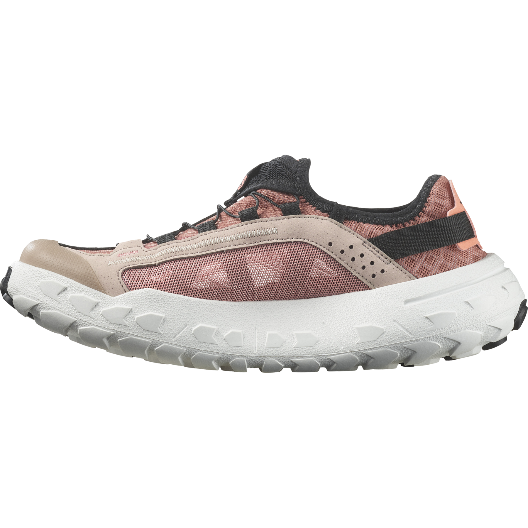 SOLAMPHIBIAN