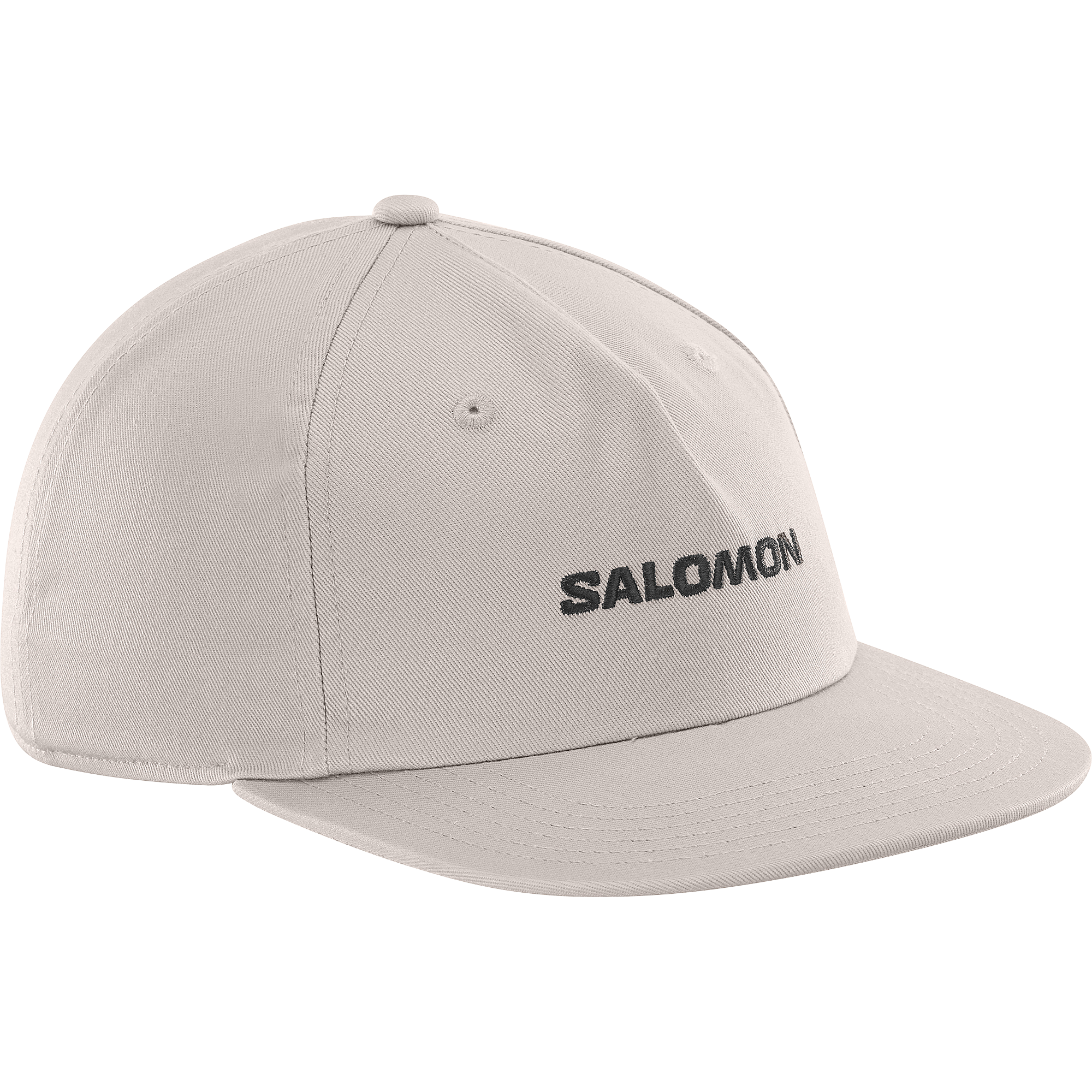 SALOMON LOGO FLAT CAP-ETHEREA