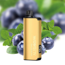 BLUEBERRY Mint