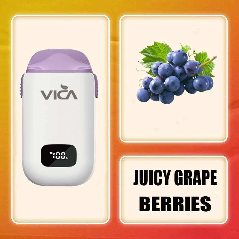 VICA AD10 20000 PUFFS - 10Flavors