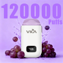 Juicy Grape Berries Flavor Vape 120000 Puffs