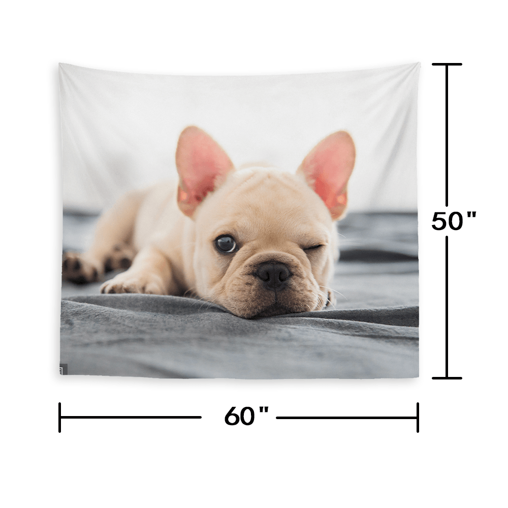Custom Pet Photo Tapestry Short Plush Wall Decor Hanging Painting - MadeMineAU