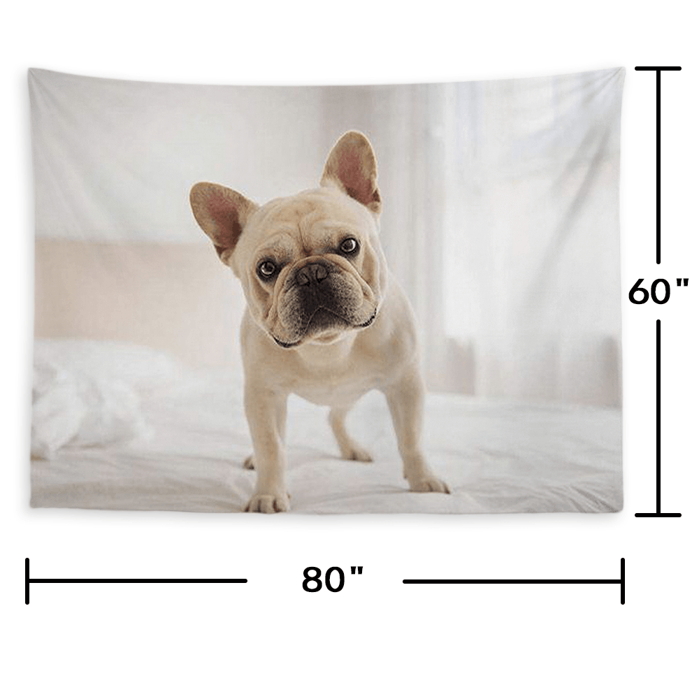 Custom Pet Photo Tapestry Short Plush Wall Decor Hanging Painting - MadeMineAU