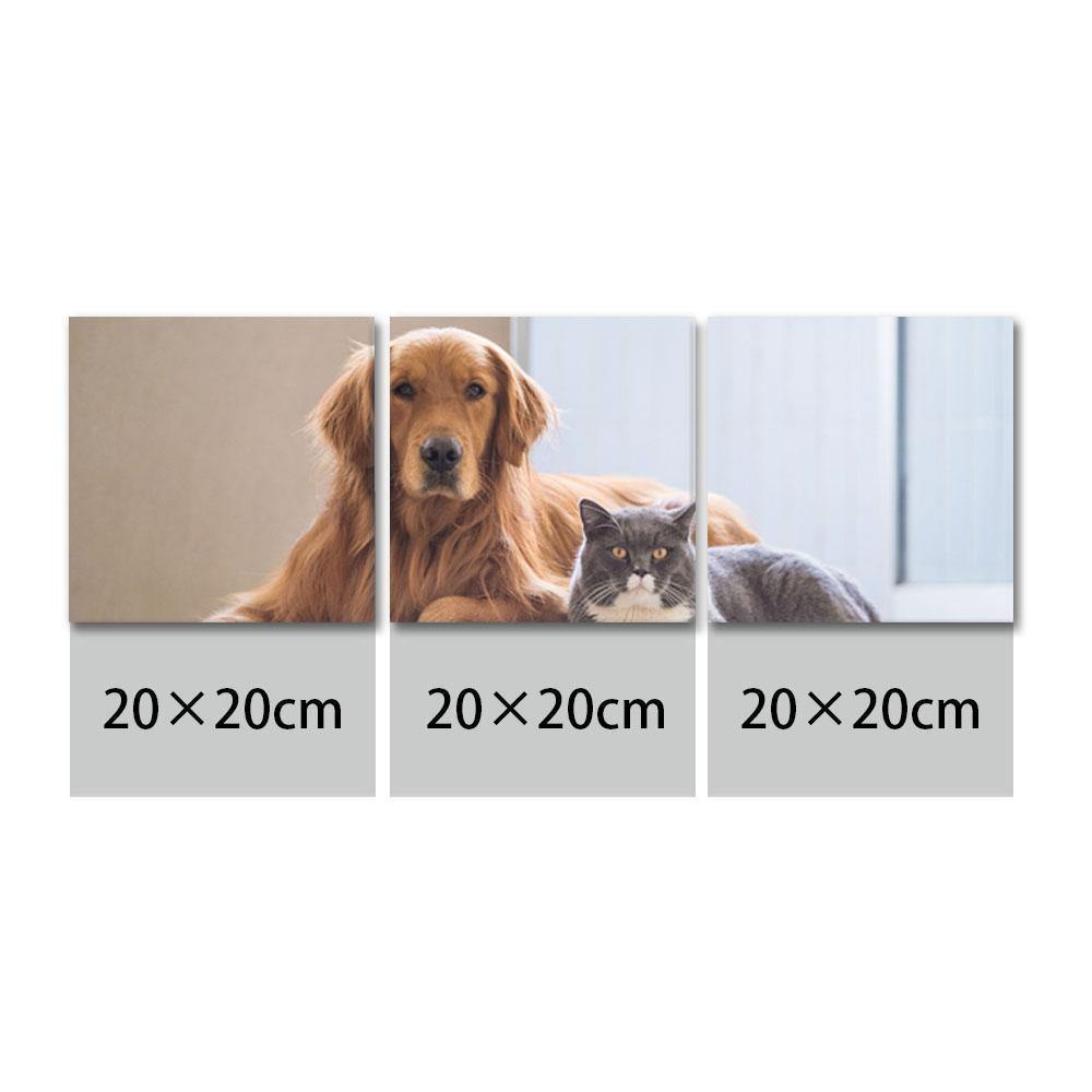 Custom Photo 3pcs Contemporary Canvas Prints Gifts for Family - MadeMineAU