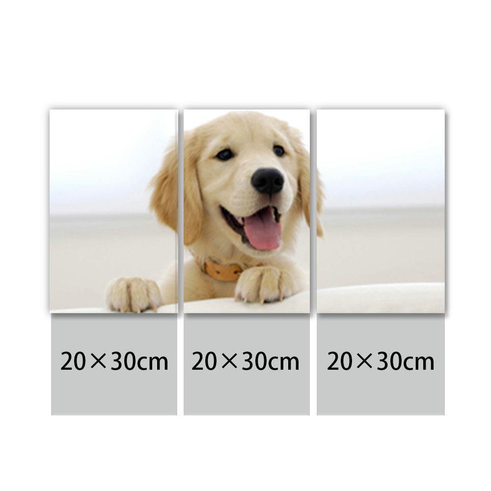 Custom Photo 3pcs Contemporary Canvas Prints for Living Room - MadeMineAU