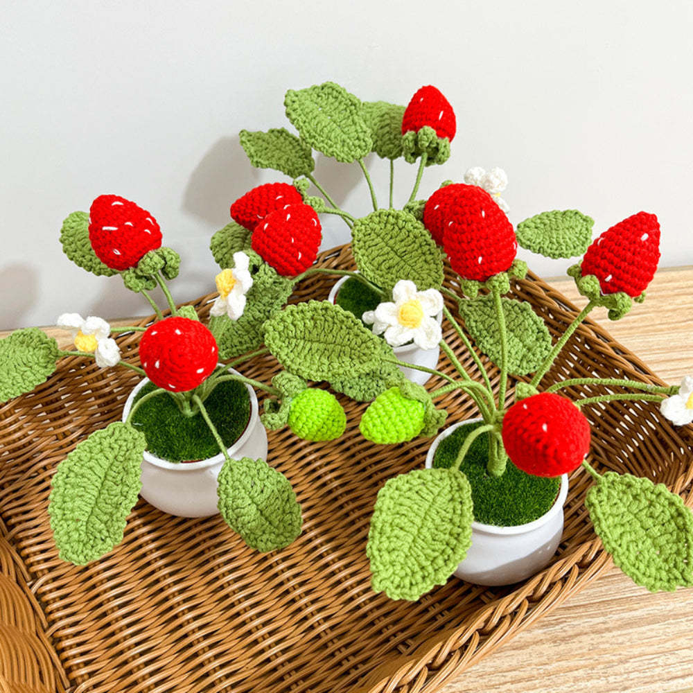 イチゴとみかんの鉢植え手編み鉢植え手仕事好きの方へのプレゼント