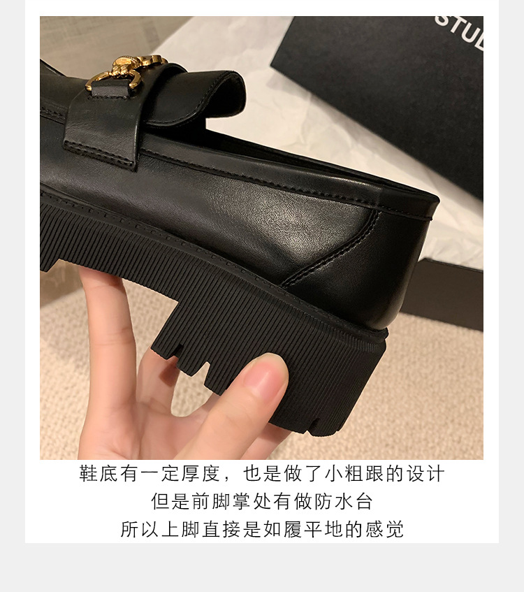 11.jpg?x-oss-process=image/format,png