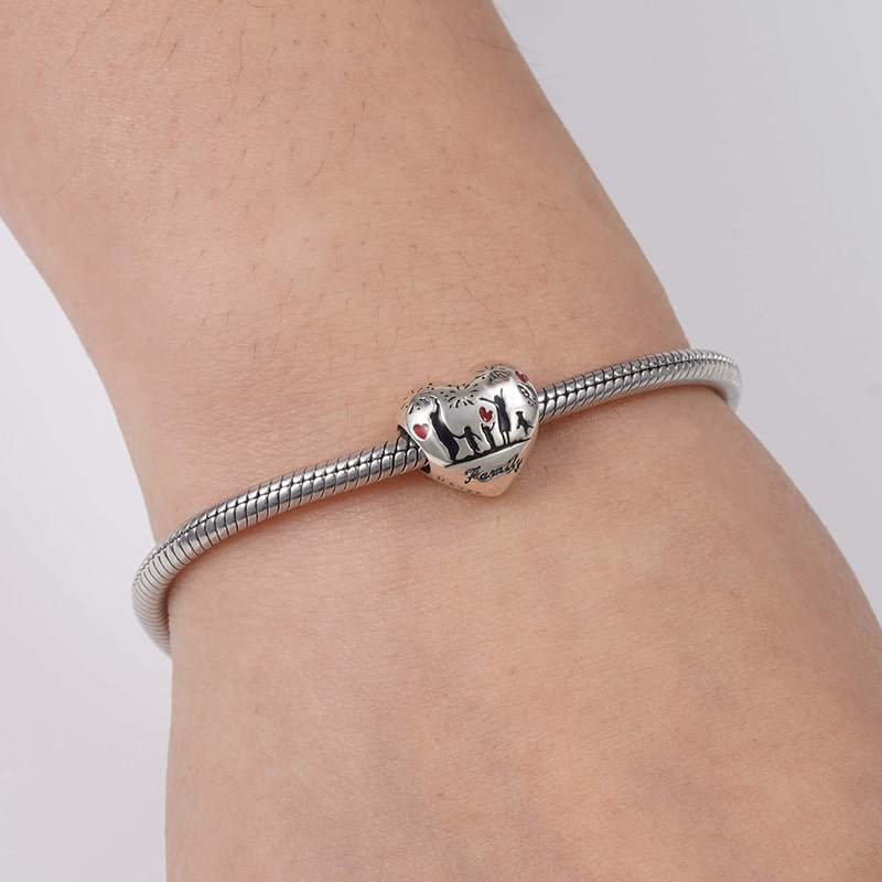 เสน่ห์ความรักของครอบครัว image number 2