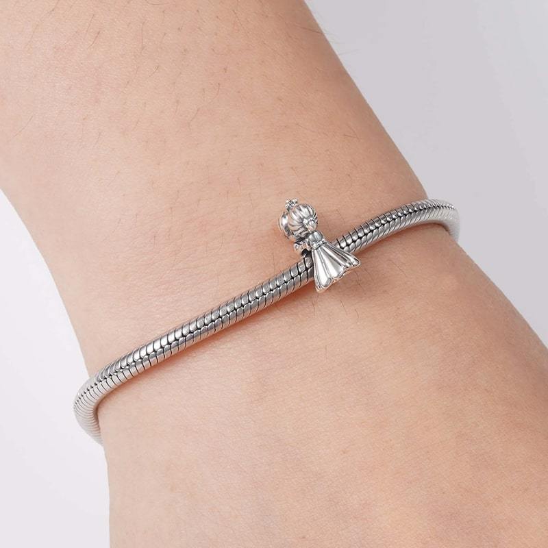 เสน่ห์เจ้าชายและเจ้าหญิง image number 2