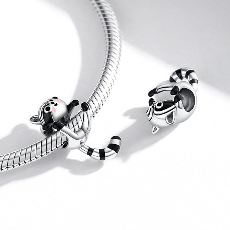 เสน่ห์แรคคูน Procyon Lotor image number 2