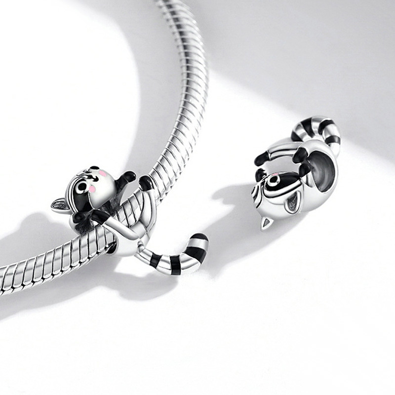 เสน่ห์แรคคูน Procyon Lotor image number 1