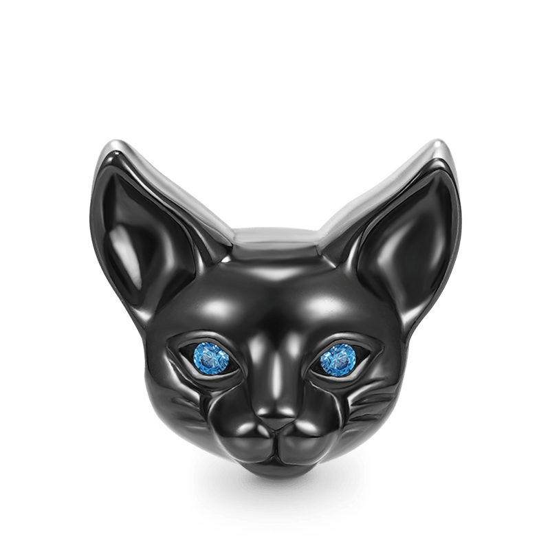 เสน่ห์แมวสองด้าน image number 2