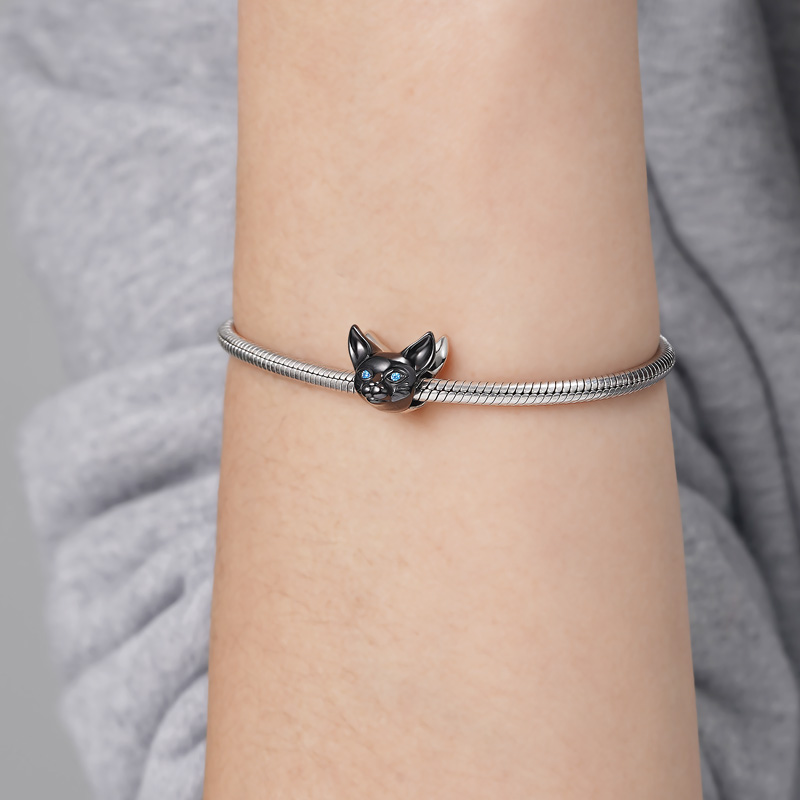 เสน่ห์แมวสองด้าน image number 5