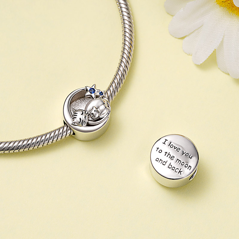 เสน่ห์แมวและเด็ก image number 2