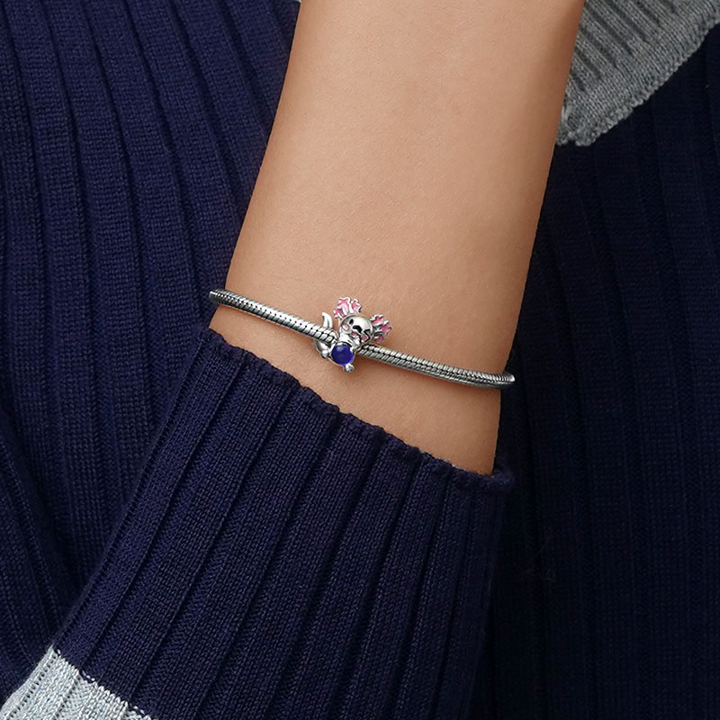 เสน่ห์อารมณ์แอกโซลอทล์เม็กซิกัน image number 5