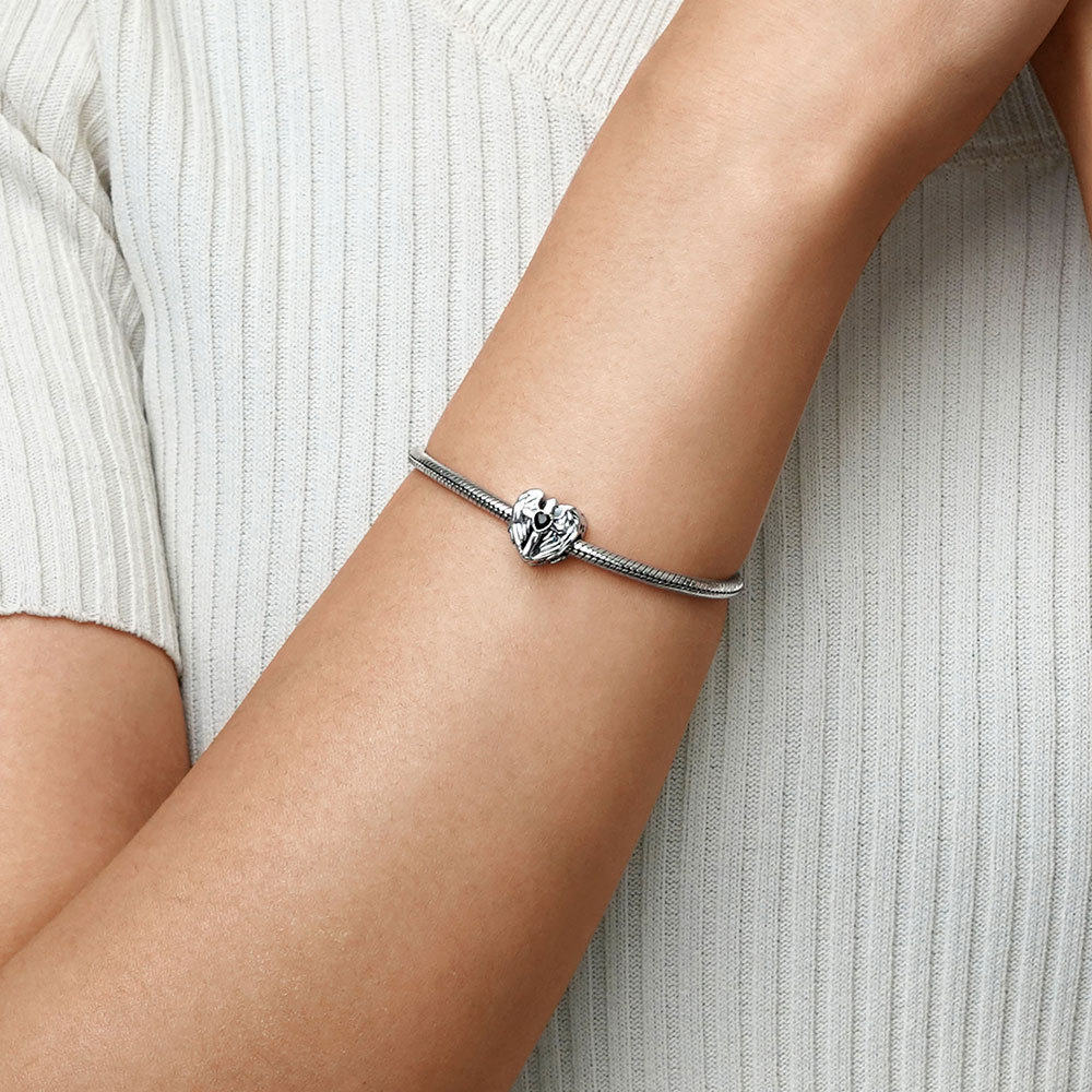 เสน่ห์ไม้กางเขนปีก image number 4