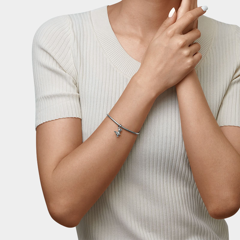 

จี้ไดโนเสาร์ image number 3