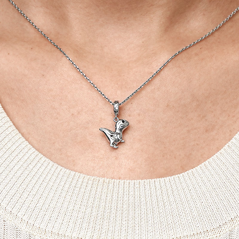 

จี้ไดโนเสาร์ image number 6