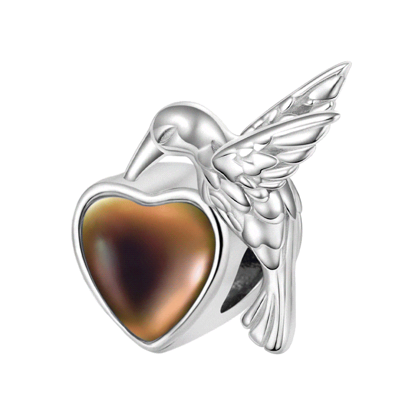 เสน่ห์อารมณ์นกฮัมมิ่งเบิร์ด image number 0