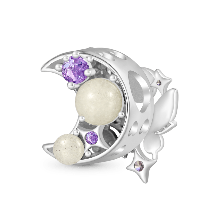 เสน่ห์ผีเสื้อพระจันทร์ image number 2