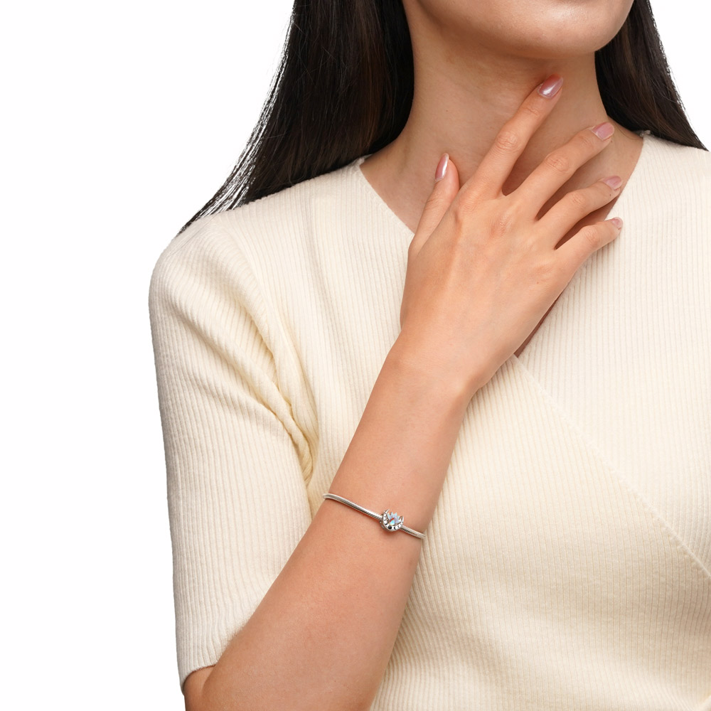 เสน่ห์ดอกบัวและพระจันทร์ image number 2