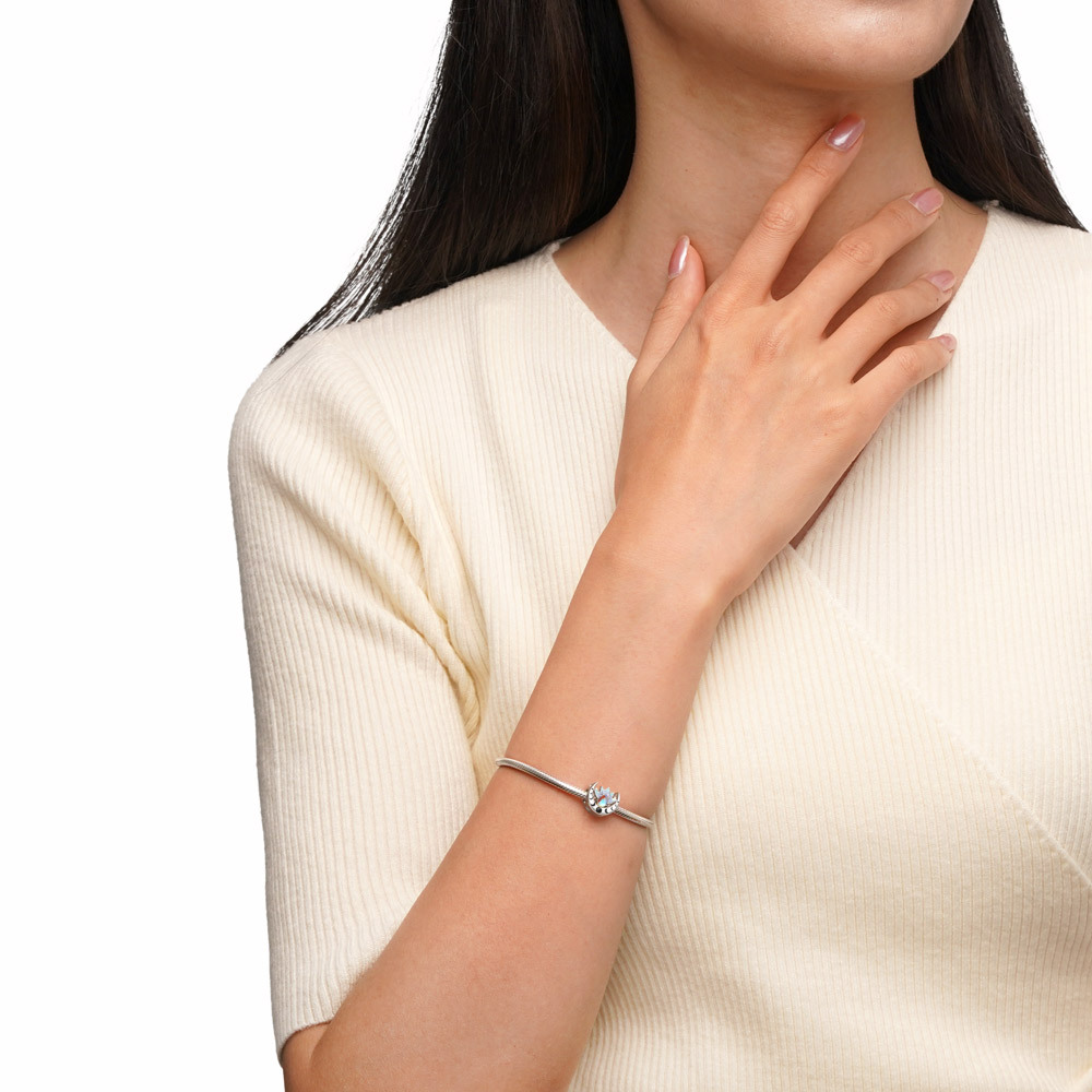 เสน่ห์ดอกบัวและพระจันทร์ image number 2