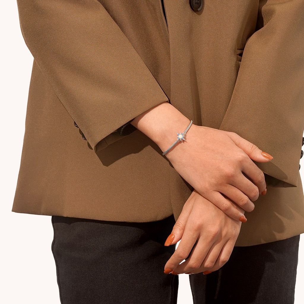 

เสน่ห์ดาวเปล่งประกาย image number 4