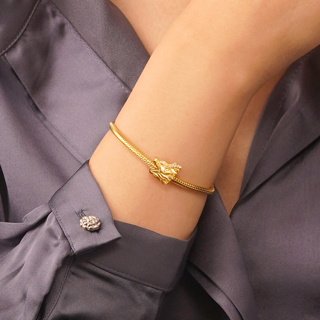 เสน่ห์หัวมังกรมีเครา image number 6