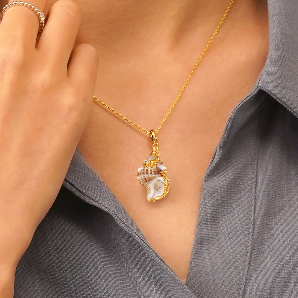 

จี้หอยสังข์ image number 4