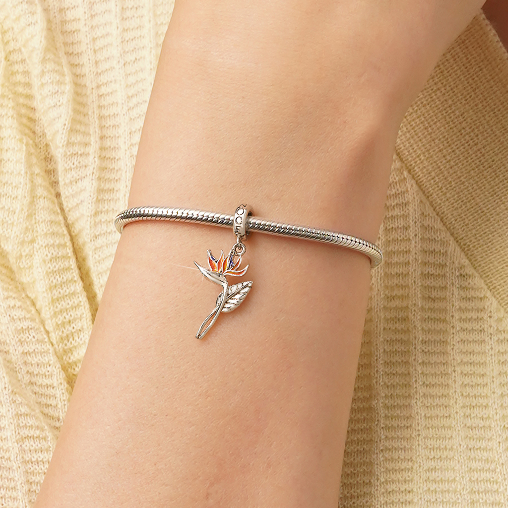 จี้สเตรลิเซีย image number 5