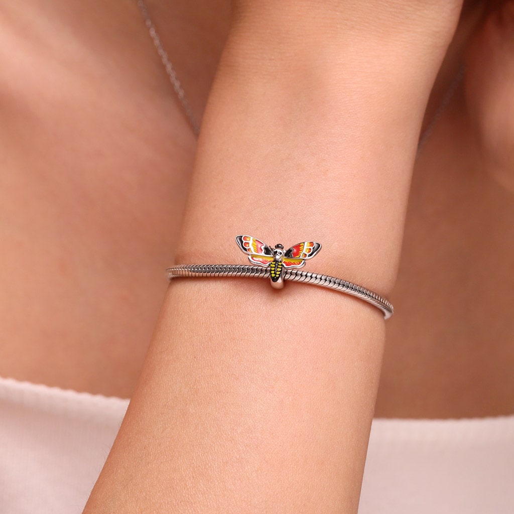 เสน่ห์ผีเสื้อหัวกะโหลก image number 4