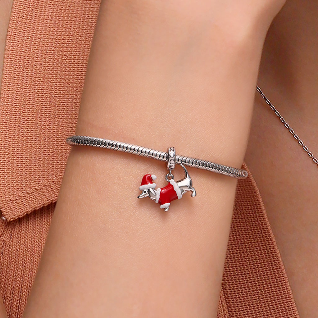 จี้สุนัขดัชชุน image number 5