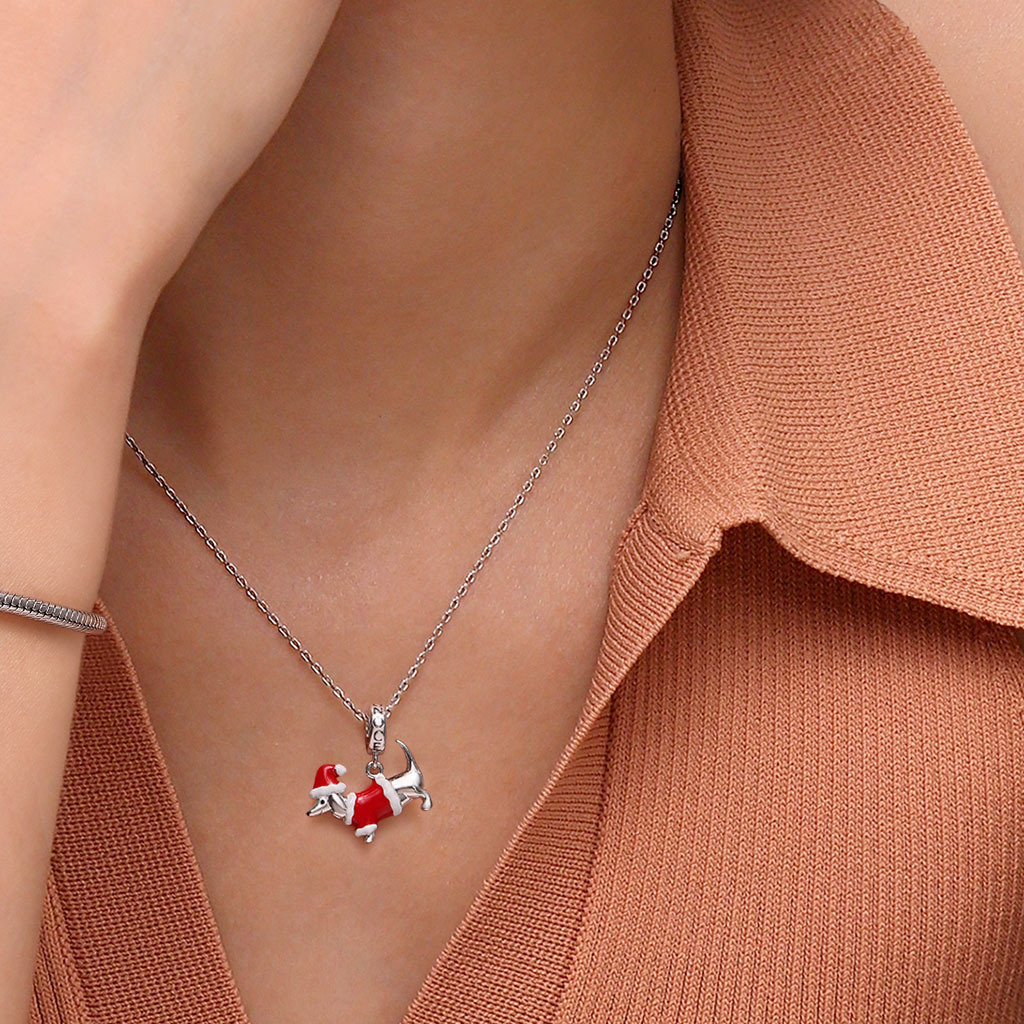 จี้สุนัขดัชชุน image number 4