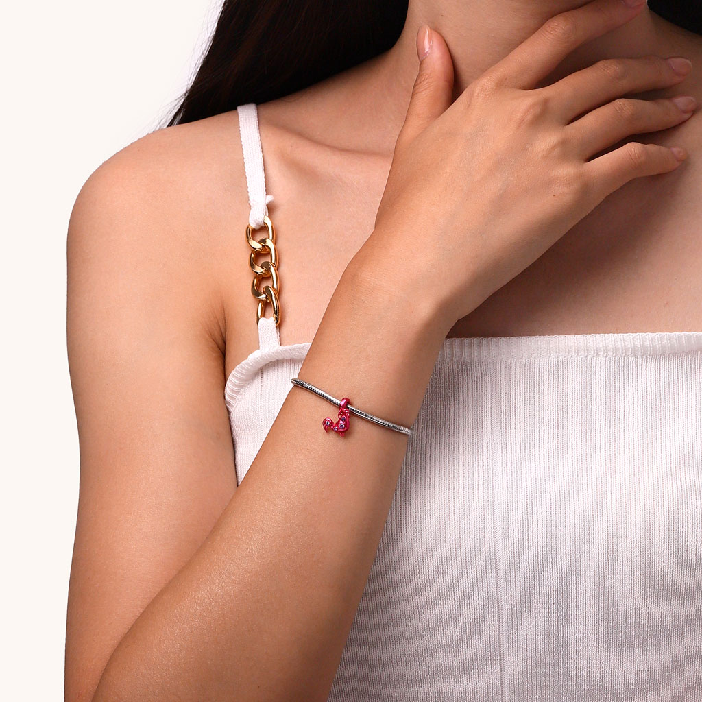 

จี้ราศีไก่สีชมพูแคนดี้ image number 3