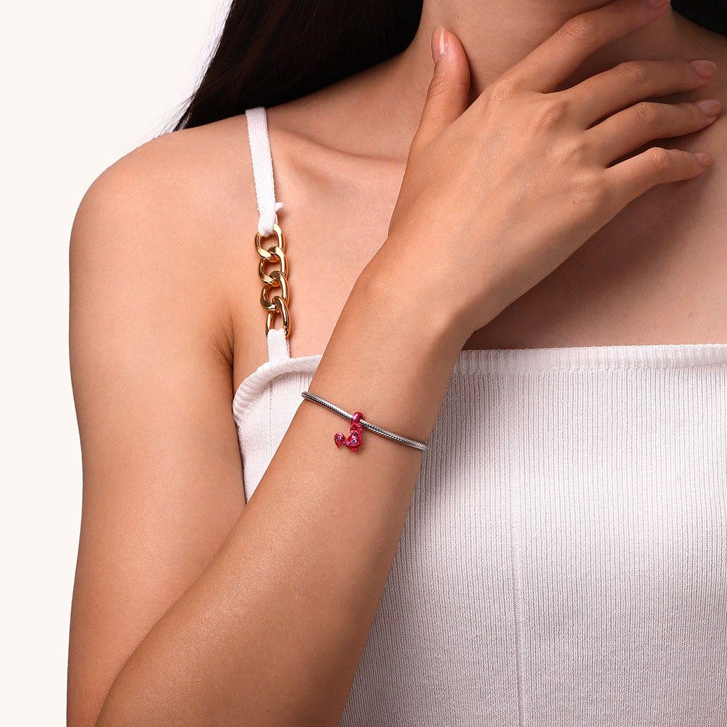 

จี้ราศีไก่สีชมพูแคนดี้ image number 3