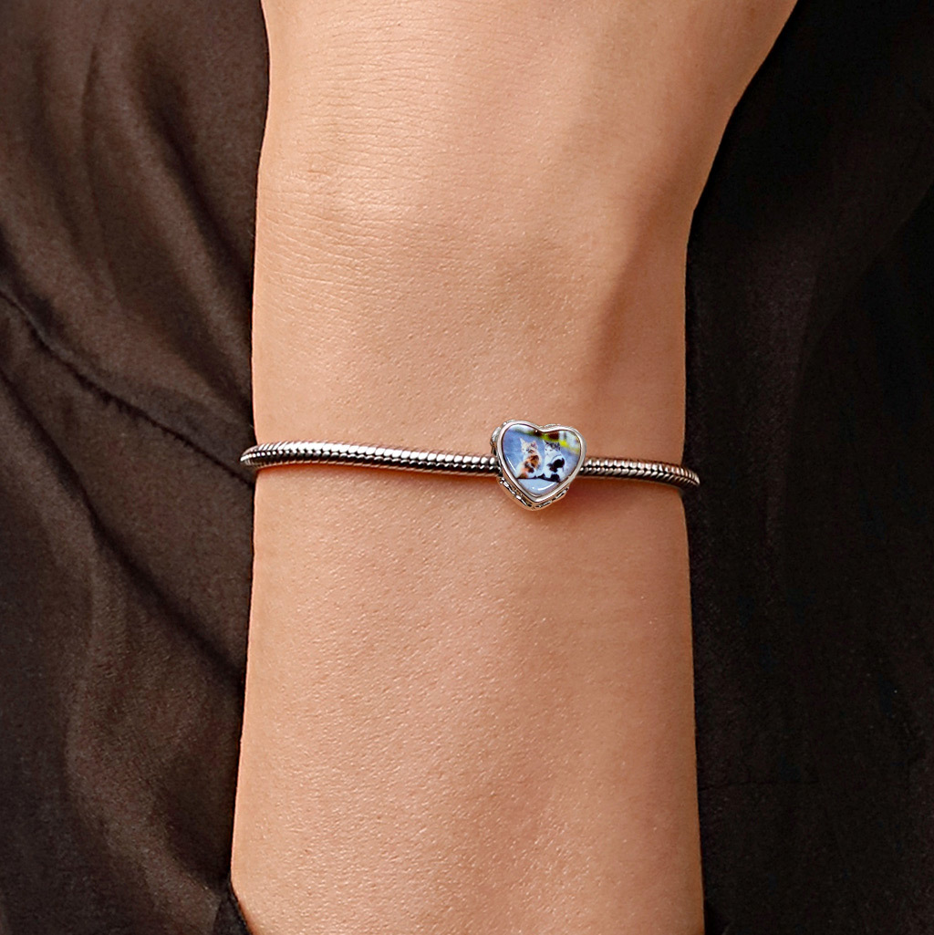 เสน่ห์รูปภาพแมว image number 1