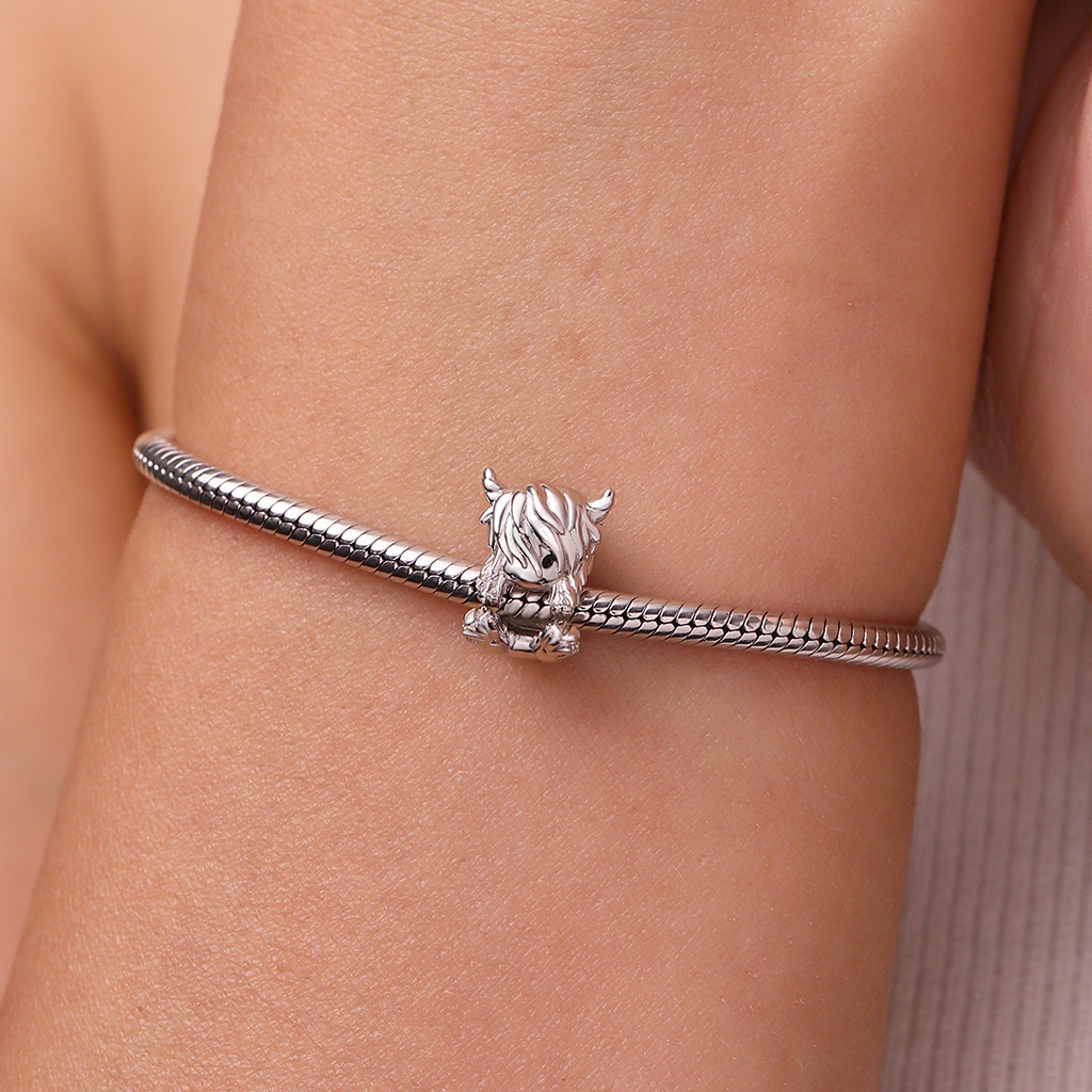 เสน่ห์วัวไฮแลนด์สก็อตแลนด์น่ารัก image number 4