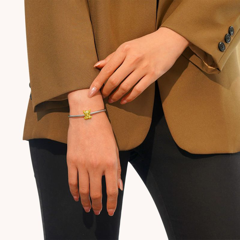 เสน่ห์วัวไฮแลนด์สก็อตแลนด์ทองคำ image number 3