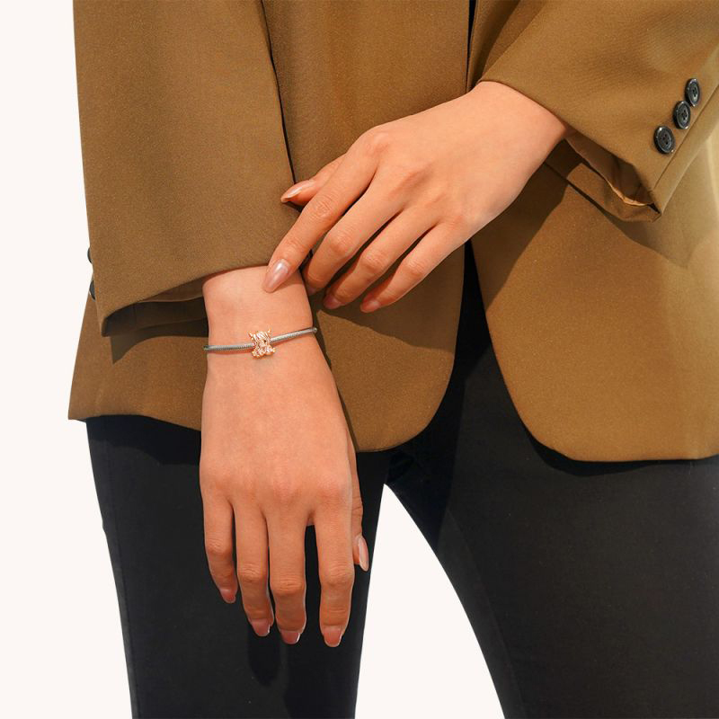 เสน่ห์วัวไฮแลนด์สก็อตแลนด์โรสโกลด์ image number 3